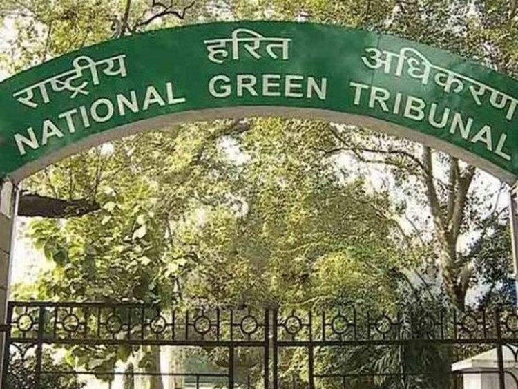 Functions must not disturb citizens' right to clean environment: NGT
