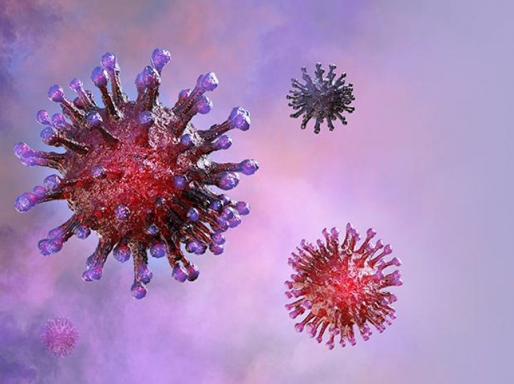 Indian scientists reveal new mutations, proteins of novel coronavirus