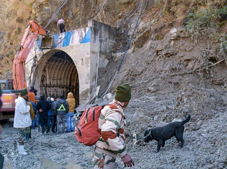 32 dead in Uttarakhand disaster, race against time in tunnel rescue op