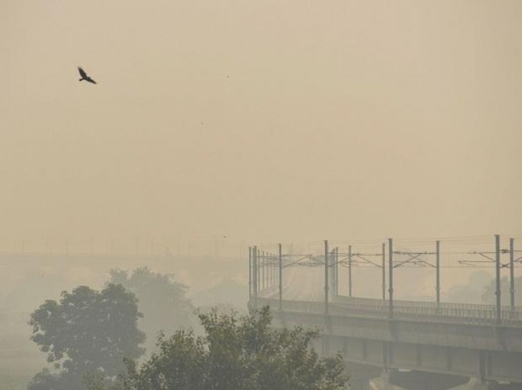 Air quality 'severe' in Ghaziabad, Noida; 'very poor' in Faridabad