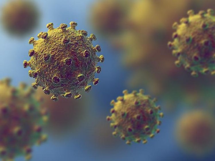 Coronavirus circulated undetected months before first cases in China: Study