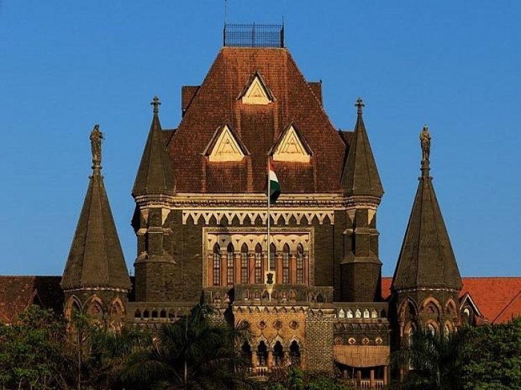 Toolkit case: Bombay HC grants transit pre-arrest bail to Nikita Jacob