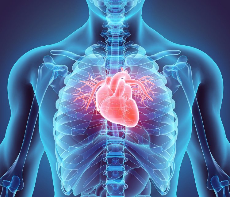 Study shows COVID-19 patients have higher risk of cardiac damage