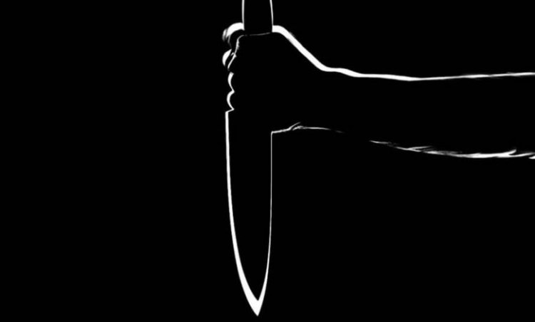 Man stabs mother to death in Delhi's Khajuri Khas