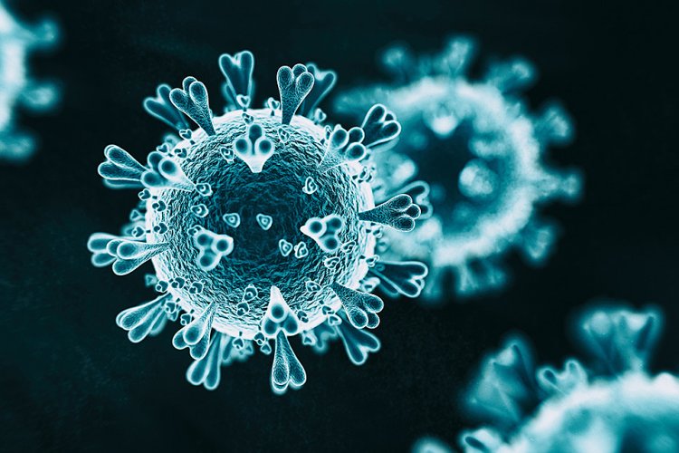 Coronavirus: 8 deaths, 117 fresh cases in UP