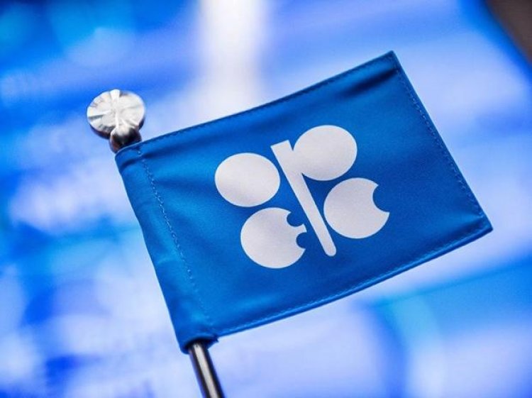 Government urges OPEC+ to fulfill promise of stable oil prices