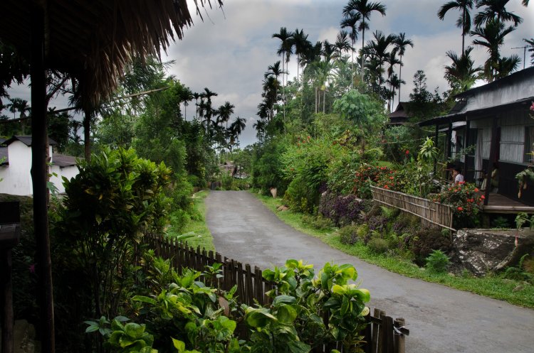 Lifestyle, open air may have kept coronavirus at bay in villages: Naidu