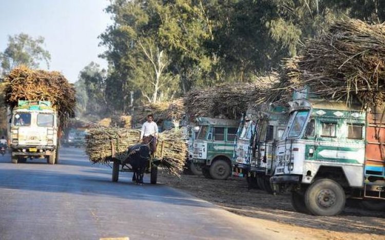 From farms to mills, it's a long wait for Western UP farmers just to get sugarcane weighed