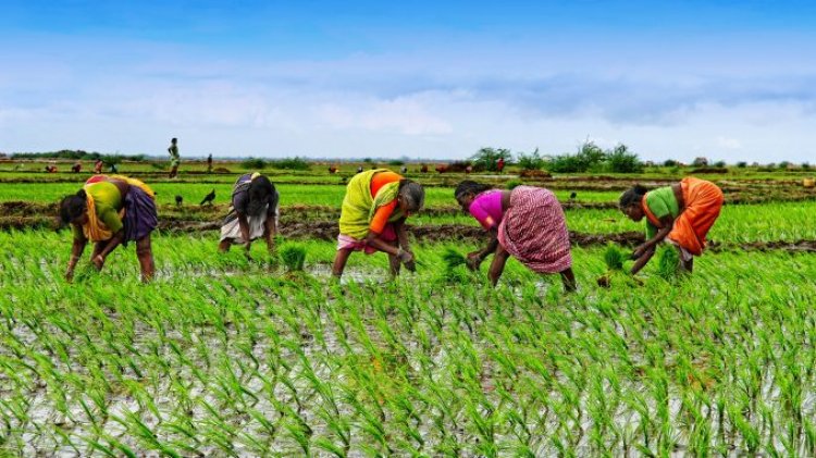 Agriculture in Crisis - 300 million landless labourers
