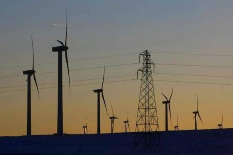 Adani wins 300 MW wind energy capacity at Rs 2.77/unit