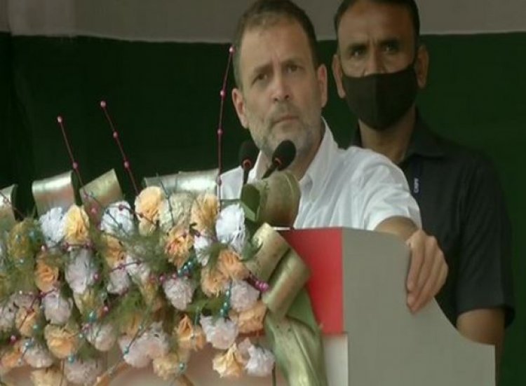 BJP promised Rs 365 daily to tea workers, paid Rs 167, says Rahul Gandhi promising five things to Assam residents