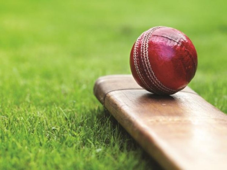 Unified body for differently-abled cricketers formed, BCCI may follow