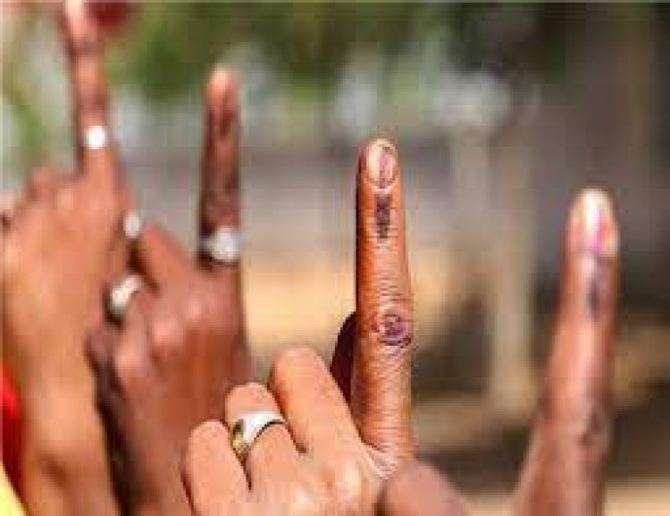 TN records 72.78 percent polling: EC