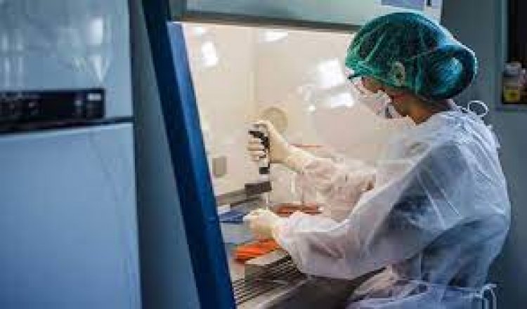 48 deaths, 12,787 fresh virus cases in UP