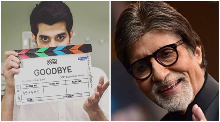 Pavail Gulati to play Amitabh Bachchan's son in movie 'Goodbye'