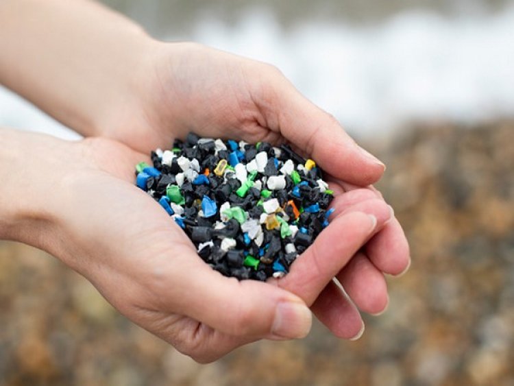 Study reveals complexity of microplastic pollution