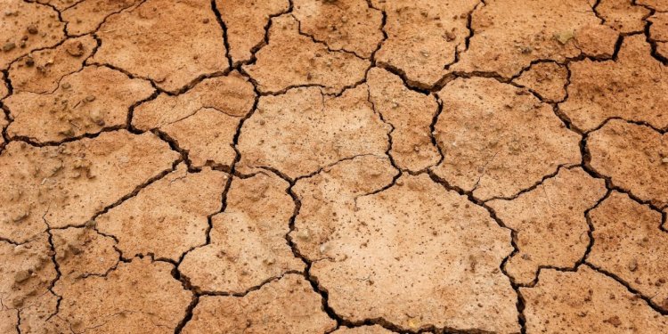 WFP warns drought leading to food insecurity, acute malnutrition in Africa