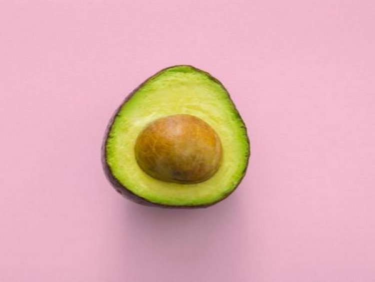 Avocado may offer better leukemia treatment, study affirms