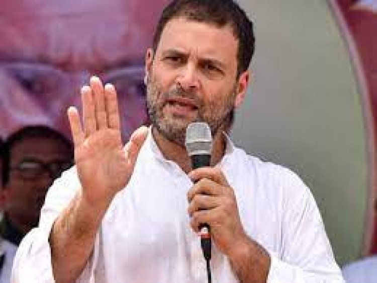 Covid: Entire world shaken by what they're seeing in India, says Rahul