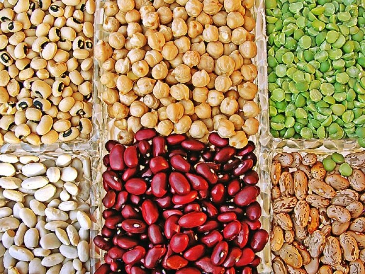 Study uncovers clues on evolution, diversification of legumes