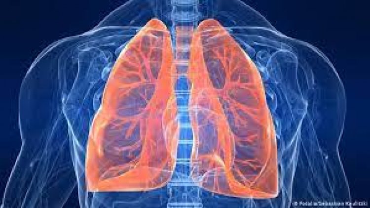 Peroxitech Therapeutics Secures Seed Financing to Advance New Treatment of Acute Lung Injury