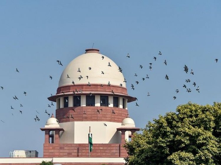 SC revives Gyanvapi panel plea disposed of while staying ASI survey