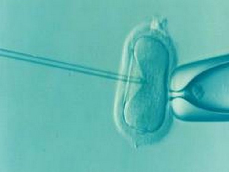 Embryos of many species use sound to prepare for the outside world, finds study