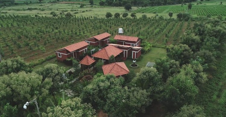 Set up Your Own 'Food Forests' with Hosachiguru's Newly Launched 100 Acres Managed Farm Plots on the Outskirts of Bengaluru