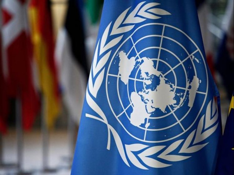 India elected to UN Economic and Social Council for 2022-24 term