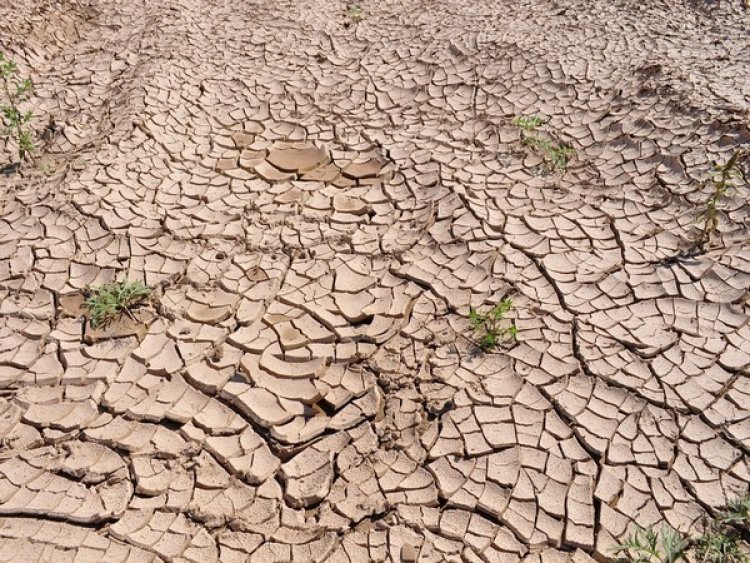 Drought conditions likely to worsen in Pak's Balochistan, Sindh due to less rainfall