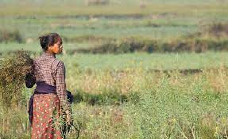 Women make up 43 Percent of the agricultural labour force in the developing world