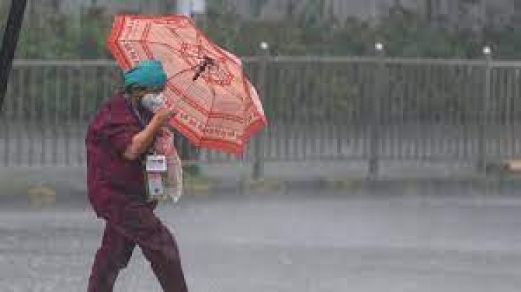 Maha: Raigad gets over 1,300mm rains since Jun 1