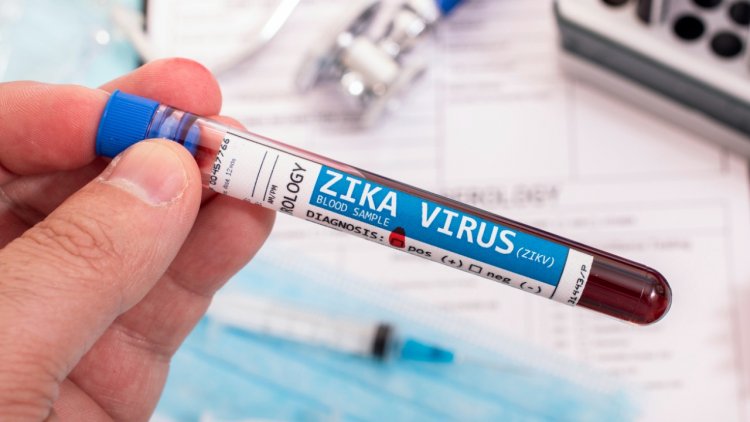 Five more people test positive for Zika virus in Kerala