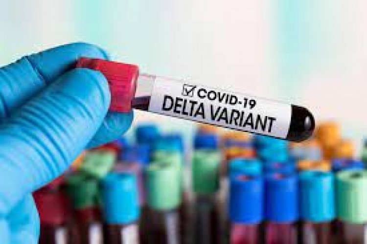 Beware of the New Highly Infectious Covid-19 Delta Plus Variant: Caution Doctors