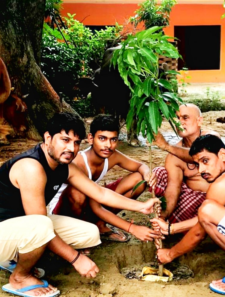 Social worker and senior journalist Ganesh Pandey starts tree plantation in UP's Nibiya