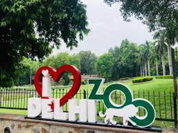 Delhi zoo to reopen from August 1