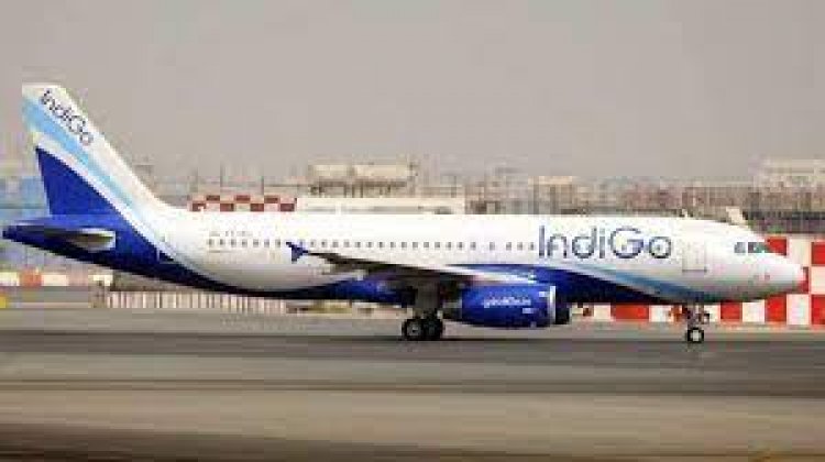 IndiGo net loss widens to Rs 3,174 cr in Q1