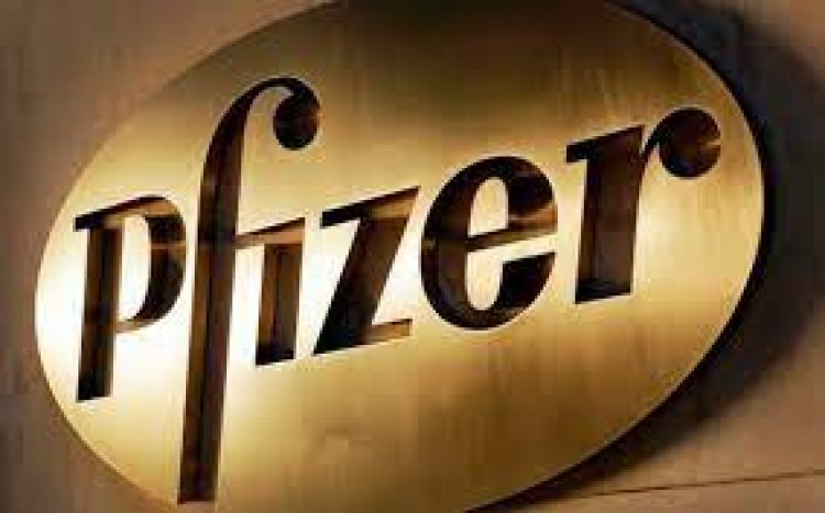 Pfizer Q1 net profit up 61 pc to Rs 200 cr