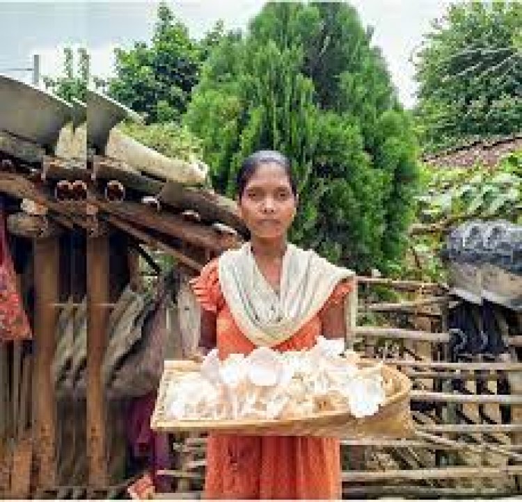 Mushroom cultivation transforms a village