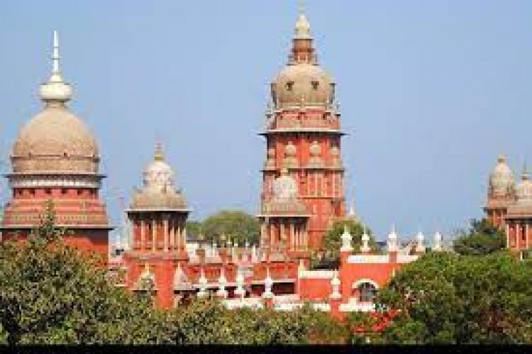 Madras HC stays NGT's order centralising powers