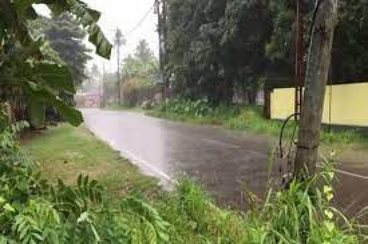 Weathermen issue orange alert for 4 districts of Kerala