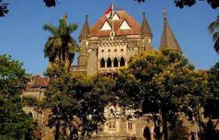 HC cancels Maha govt's CET for Class 11 admissions