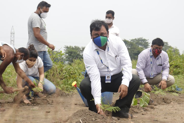 Blue Dart plants over 1,00,000 trees for Elephants in Dalma Wildlife Sanctuary in Jharkhand on World Elephant Day