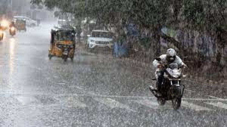 Monsoon set to revive in north India from Aug 19: IMD