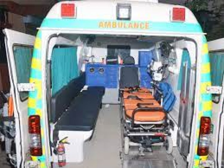 NDMC launches ambulance service for stray animals