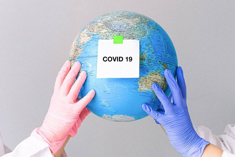 COVID19 : "Why Pandemics Happen"