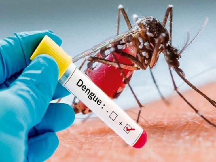 MP: Woman dies of dengue infection
