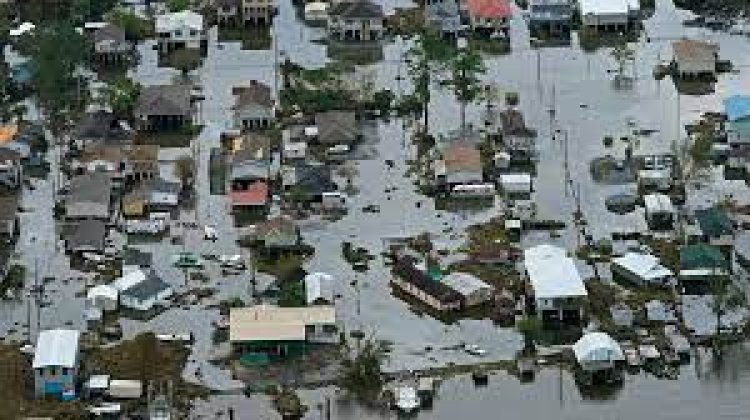 Rain Carbon Assessing Impact of Hurricane Ida on Louisiana Calcination Facilities