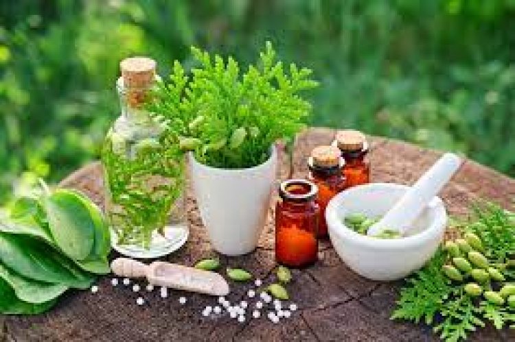 Dr Batra's Healthcare launches scientific homeopathy treatments for food, skin and respiratory allergies