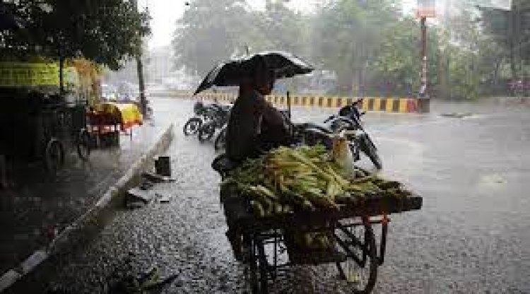 Light rains at some places in UP: Met dept